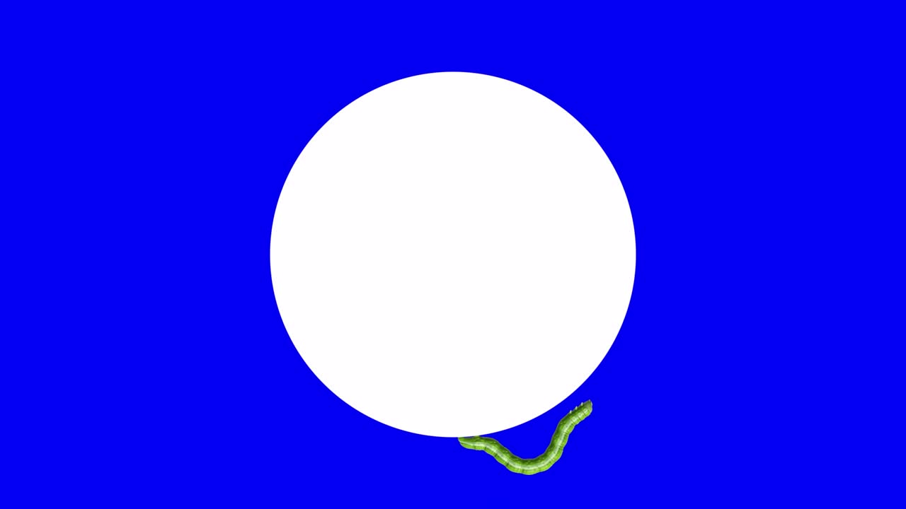 색 원 위의 애벌레, 루핑 3d 애니메이션