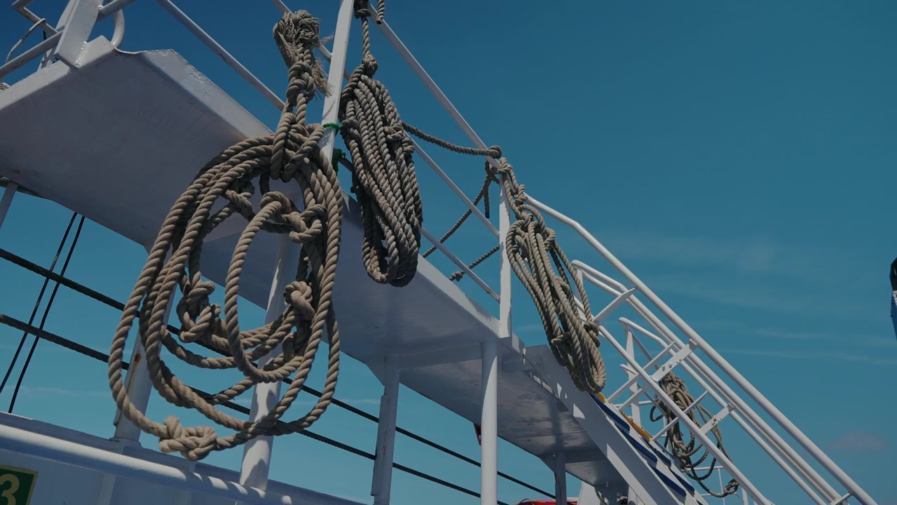 Nautical ropes swinging gently in the breeze along white ship railing under clear blue sky