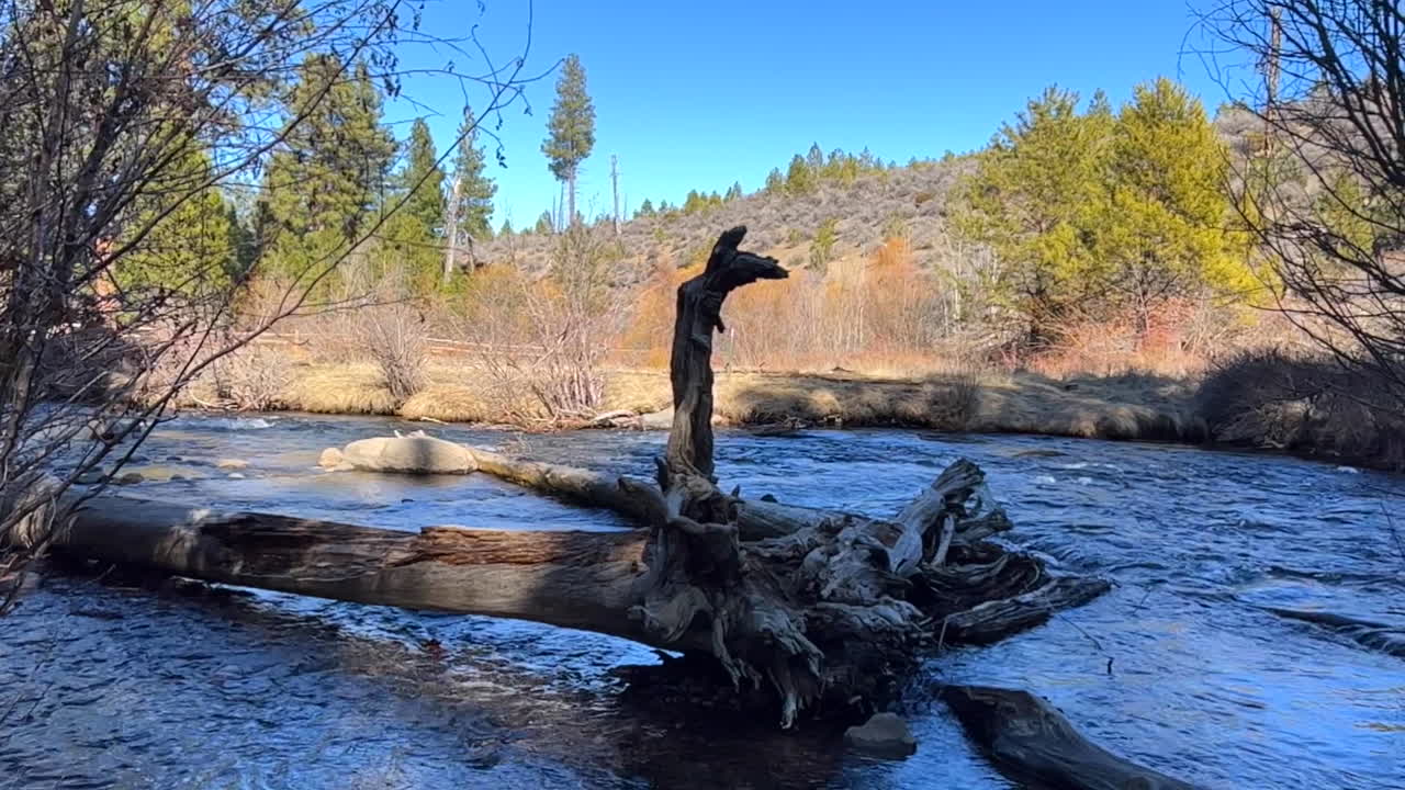 panorámica de registro en un río