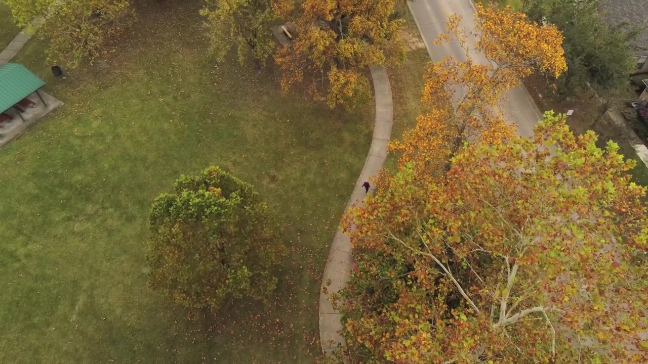 overhead shot of a woman walking in the park