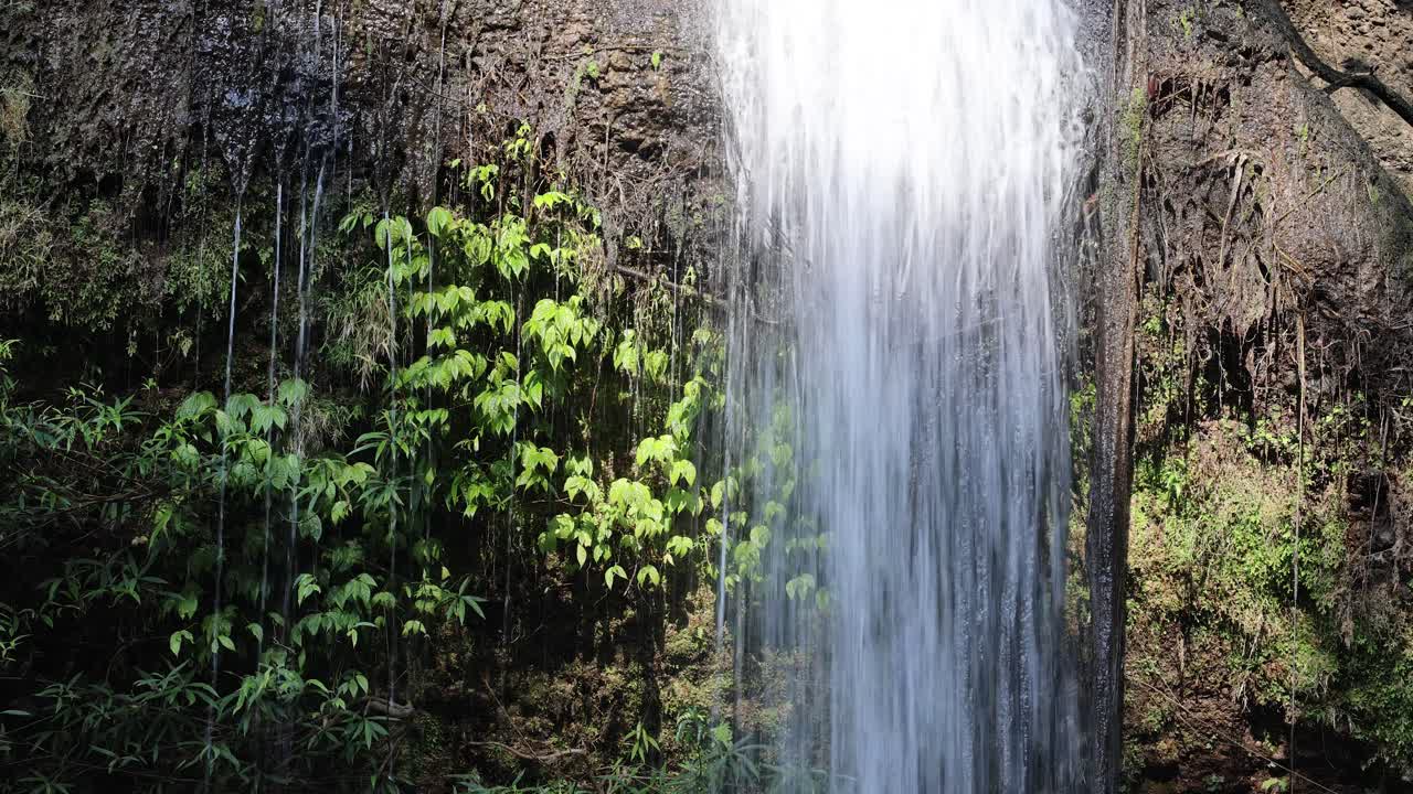 Cataratas en cascada rodeadas de exuberante vegetación