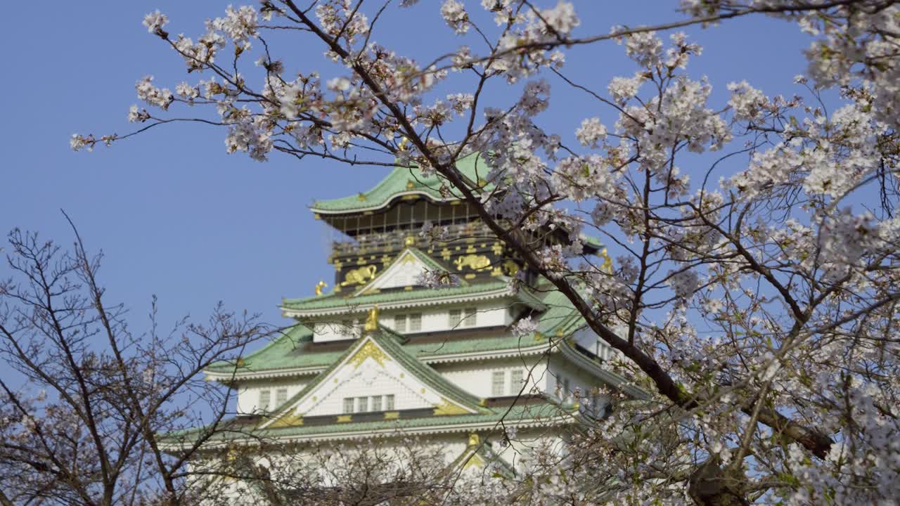 Incredible Osaka castle with Sakura cherry blossom tres