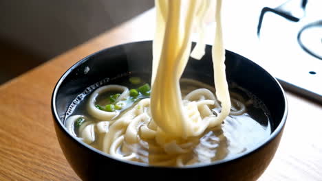 bowl of udon noodle soup