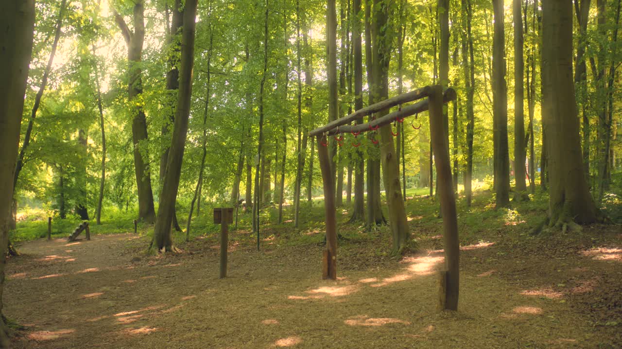 벨기에 브 ⁇ 셀 의 숲 속 에 있는 공공 야외 체육관 에 서 있는 나무 칼리스테닉스 바