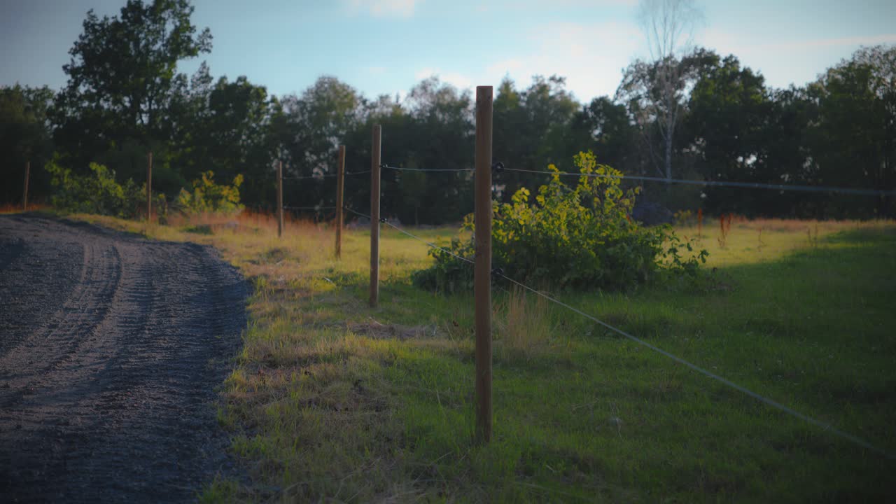 valla entre la carretera de grava y el césped con arbustos en suecia