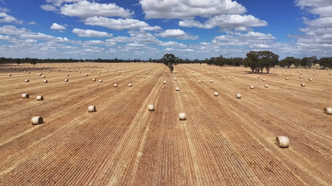 Low aerial of hay spread across cropped paddocks in an open country landscape