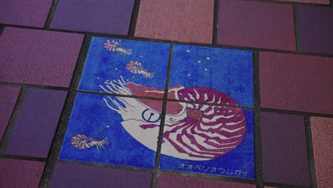 toba city footpath with titles displaying nautilus, japan