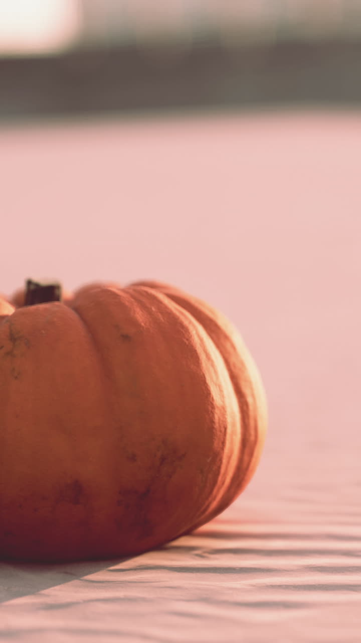 primer plano de una sola calabaza naranja