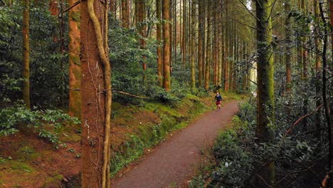 hombre corriendo por un sendero en el bosque 4k