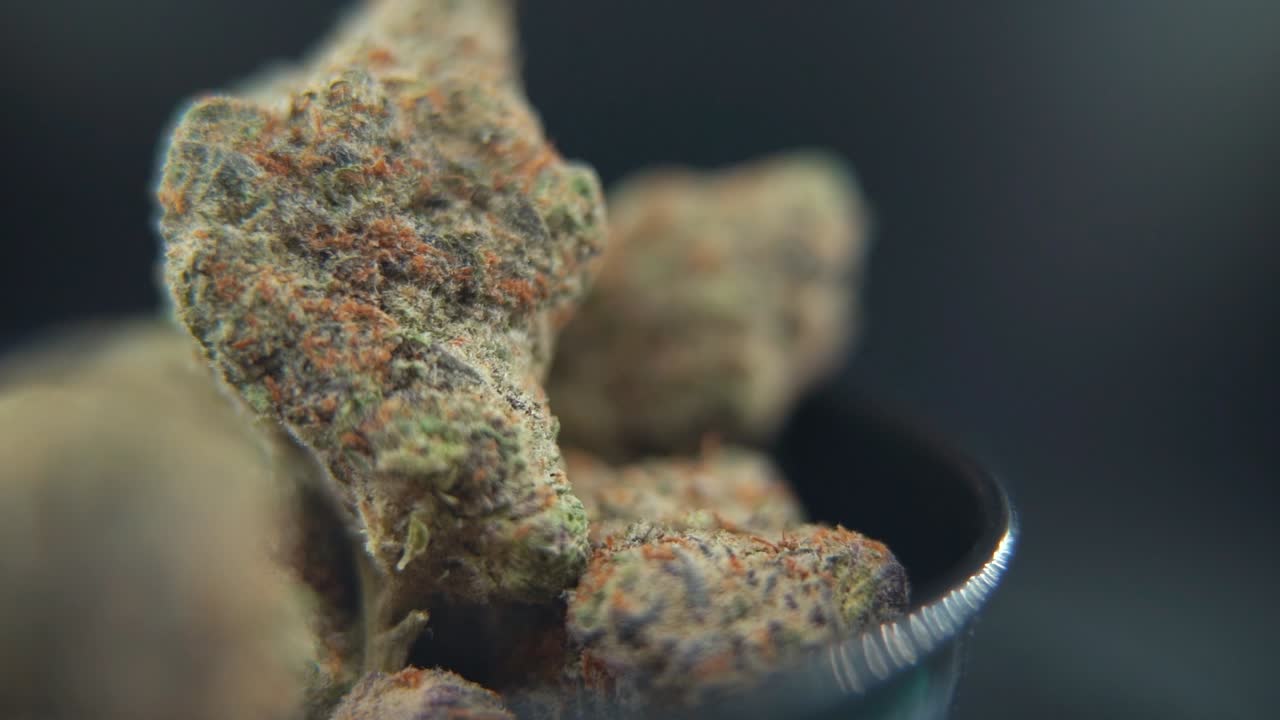 大麻植物、マリファナの花、ハイブリッド品種、インディカとサティバのマクロクローズアップ、右パン、クレーンスムーズショット。黒い光沢のあるボウルの中の360度回転スタンドに載せて、120fpsスローモーションFull HDで撮影。