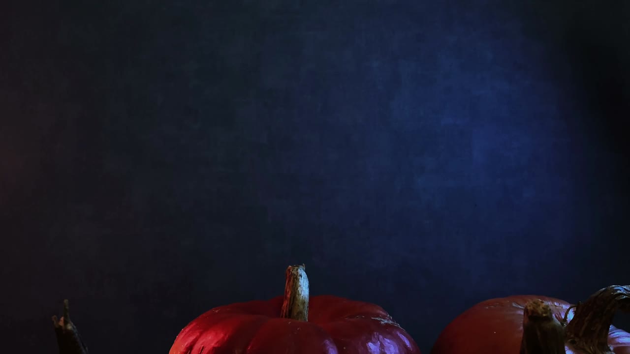 cosecha de calabazas con uno girando alrededor