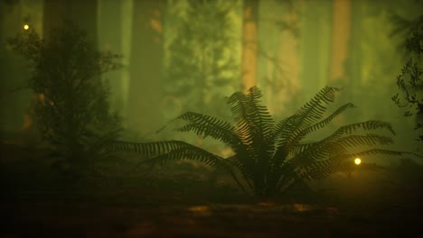 firefly in misty forest with fog