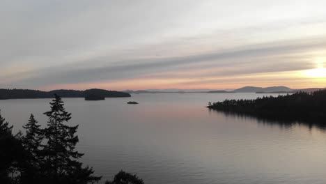 rotating aerial past tree reveals peaceful washington pacific sunset