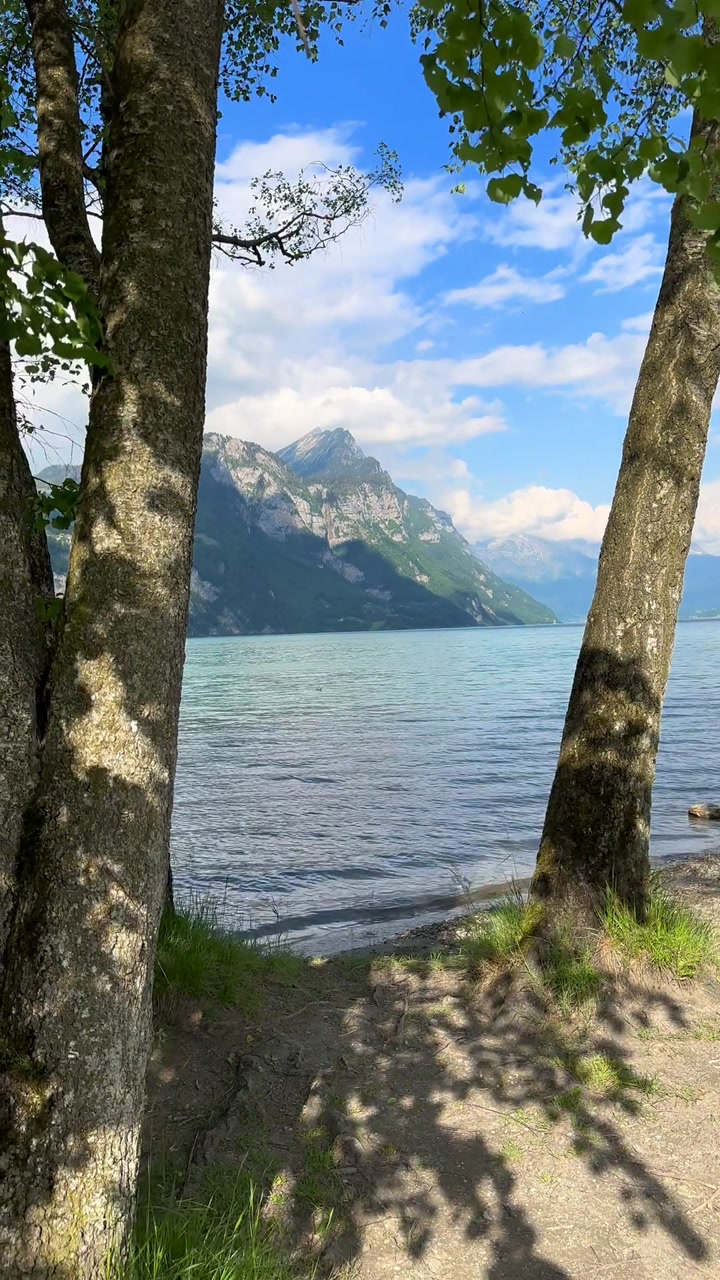 Walensee picturesque lake Walen nestled in the Swiss Prealps Switzerland vertical video