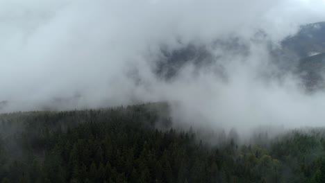 Aerial-drone-forward-moving-shot-over-dense-forest-on-rainy-day-with-thick-fog-at-daytime