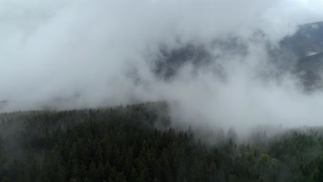 Drone-Aéreo-Hacia-Adelante-En-Movimiento-Sobre-Un-Bosque-Denso-En-Un-Día-Lluvioso-Con-Niebla-Espesa-Durante-El-Día