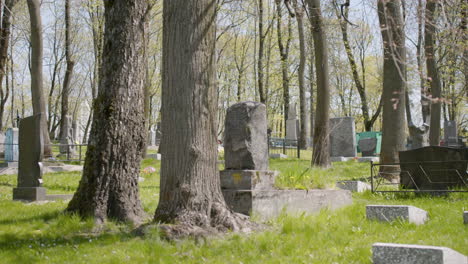 graveyard with tombstones in an urban area on a sunny day 11