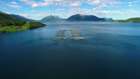 Aerial-footage-Farm-salmon-fishing-in-Norway