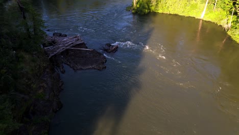 Aerial-shot-over-flowing-Snoqualmie-River-in-Evergreen-Forest-in-Washington-State