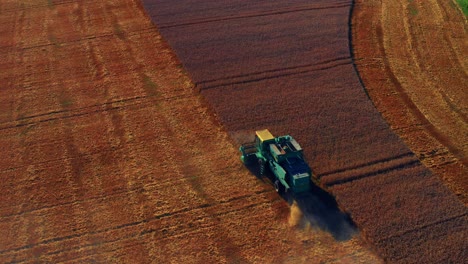 modern combine harvester harvesting grain crops with straw chopper