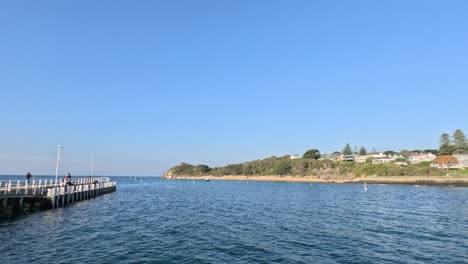 pier and coastal view with people fishing