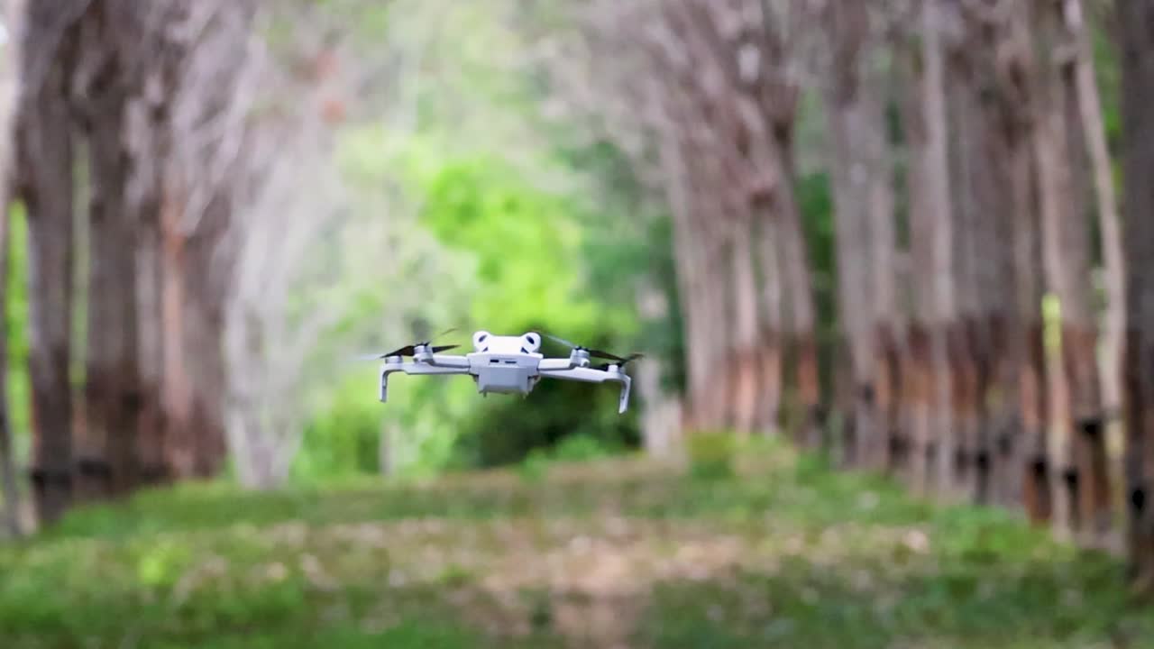 Un drone quadricottero bianco e compatto vola attraverso un lussureggiante tunnel di piantagione di alberi della gomma verdi