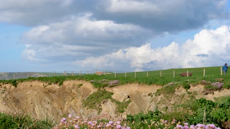 a dog walker takes a leisurely stroll along the breathtaking cliffside of cornwall. the lush greenery blends with vibrant flowers, creating a serene atmosphere of natural beauty and tranquility.