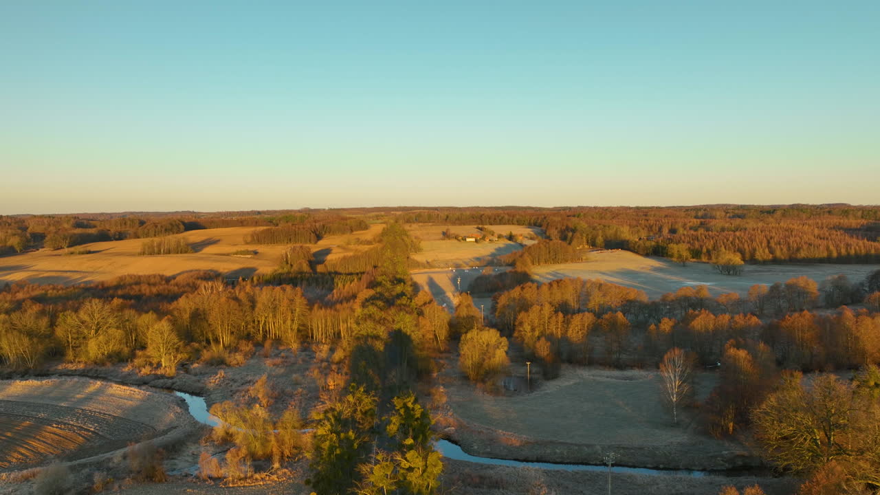 Vista aerea da drone di campi dorati e gelidi e foresta in un paesaggio rurale durante l'alba