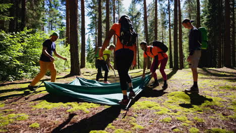 group setting up tent in forest