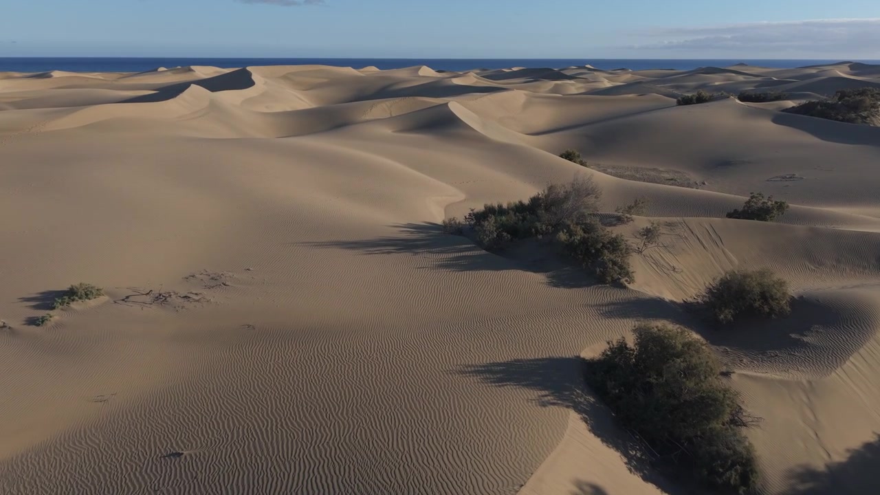 Drone che sorvola le splendide dune di sabbia dorata del Parco Naturale di Maspalomas a Gran Canaria, con l'Oceano Atlantico sullo sfondo