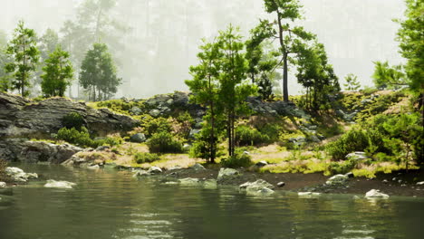 lago de bosque con niebla