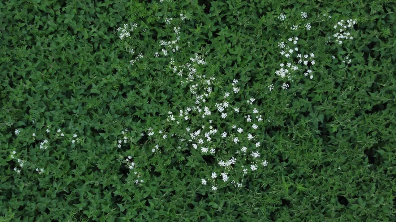 경로를 드러내는 것