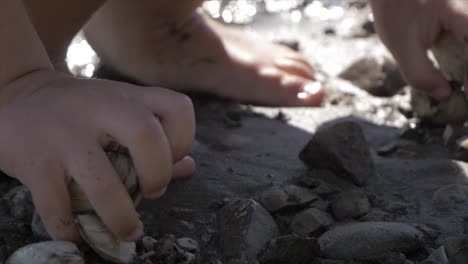 child picks up seafood from the sand