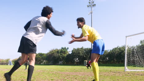 playing soccer, team celebrating goal on field during daytime match
