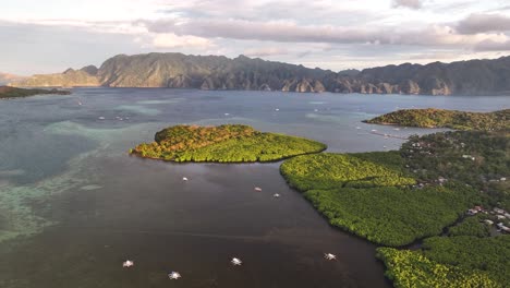 sailboats at bintuan mangrove park in bintuan, coron, philippines. aerial drone shot