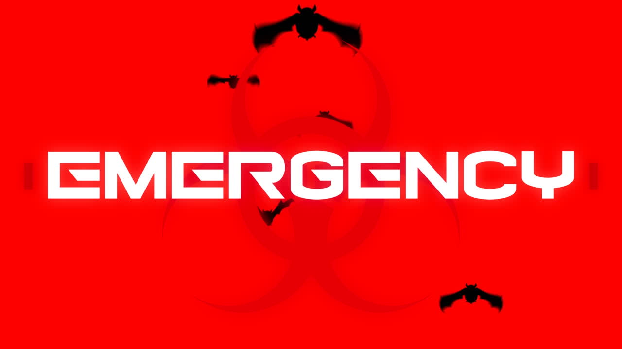 animación de texto de advertencia de emergencia, sobre murciélagos, en rojo