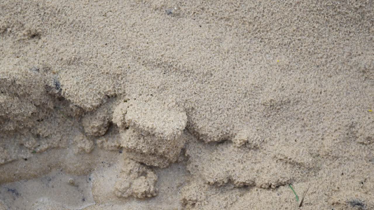 Close-up of Sand and Ant Hill