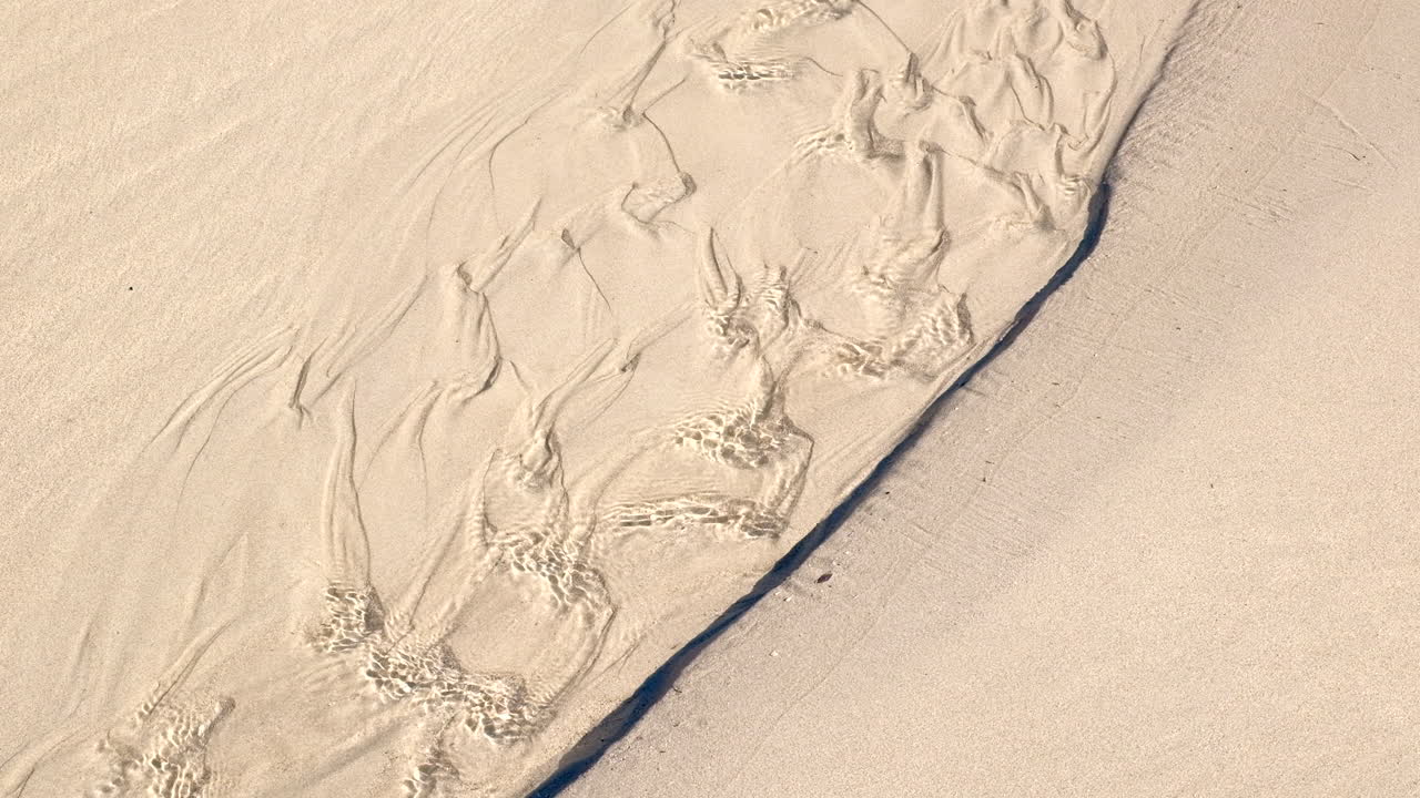 Close-up of Sand and Water on a Beach