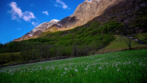 Zeitrafferaufnahme-Von-Fliegenden-Wolken-über-Grüne-Wiese-Und-Berge-Während-Des-Sommertages-Und-Blauer-Himmel---Dunkle-Mystische-Schatten-Im-Tal-Und-Auf-Der-Bergkette