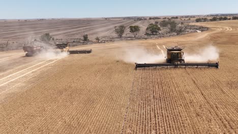 este material captura la sinergia de la tecnología agrícola moderna, mostrando el papel esencial de los frentes de cabecera en el proceso de cosecha de trigo