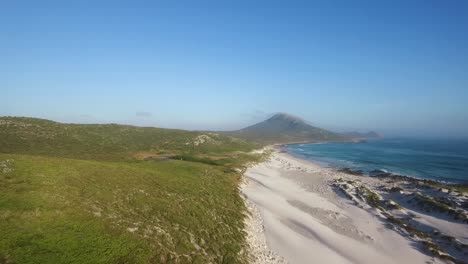 cape point nature reserve, south africa