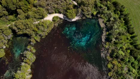 New-Zealand-largest-freshwater-spring