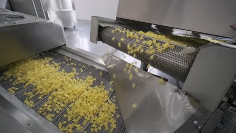 production factory line moves potato snackes. production line of the pasta factory, pasta production