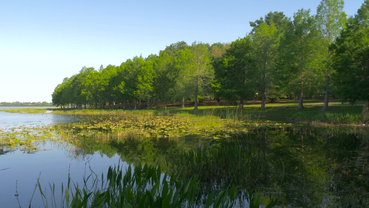 플로리다에 있는 에버글레이드 습지