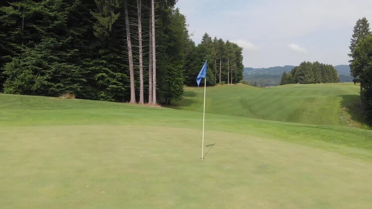 Bandierina blu in una buca da golf su un bellissimo campo da golf in mezzo alla foresta.