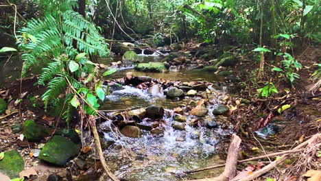 Eine-Aufnahme-Eines-Wassers,-Das-Zwischen-Den-Felsen-Oder-Steinen-Fließt-Und-Die-Natürliche-Schönheit-Der-Natur-Zeigt