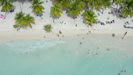 Gente-Pasando-Un-Buen-Rato-En-La-Playa-De-Palmeras-Tropicales-De-Arena-Blanca,-Isla-Saona