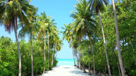 Tall-palm-trees-bent-over-narrow-sandy-path-between-lush-vegetation-of-tropical-island-until-coastline-with-white-exotic-beach-and-turquoise-lagoon-in-Maldives