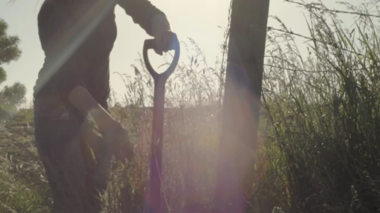 햇살에 포크로 건초 밭을 파는 농부