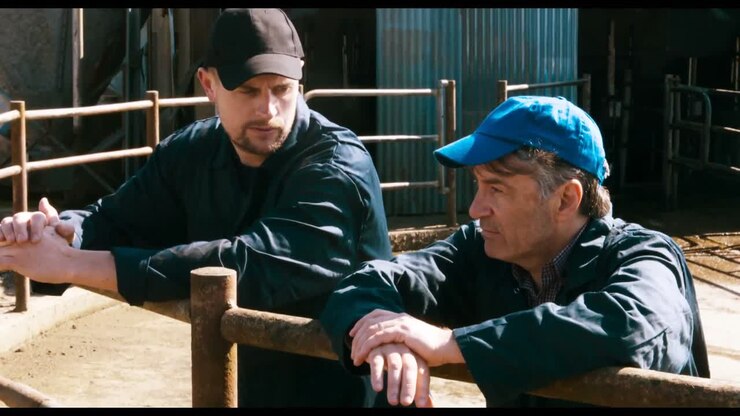 Two cattle farmers interacting with each other